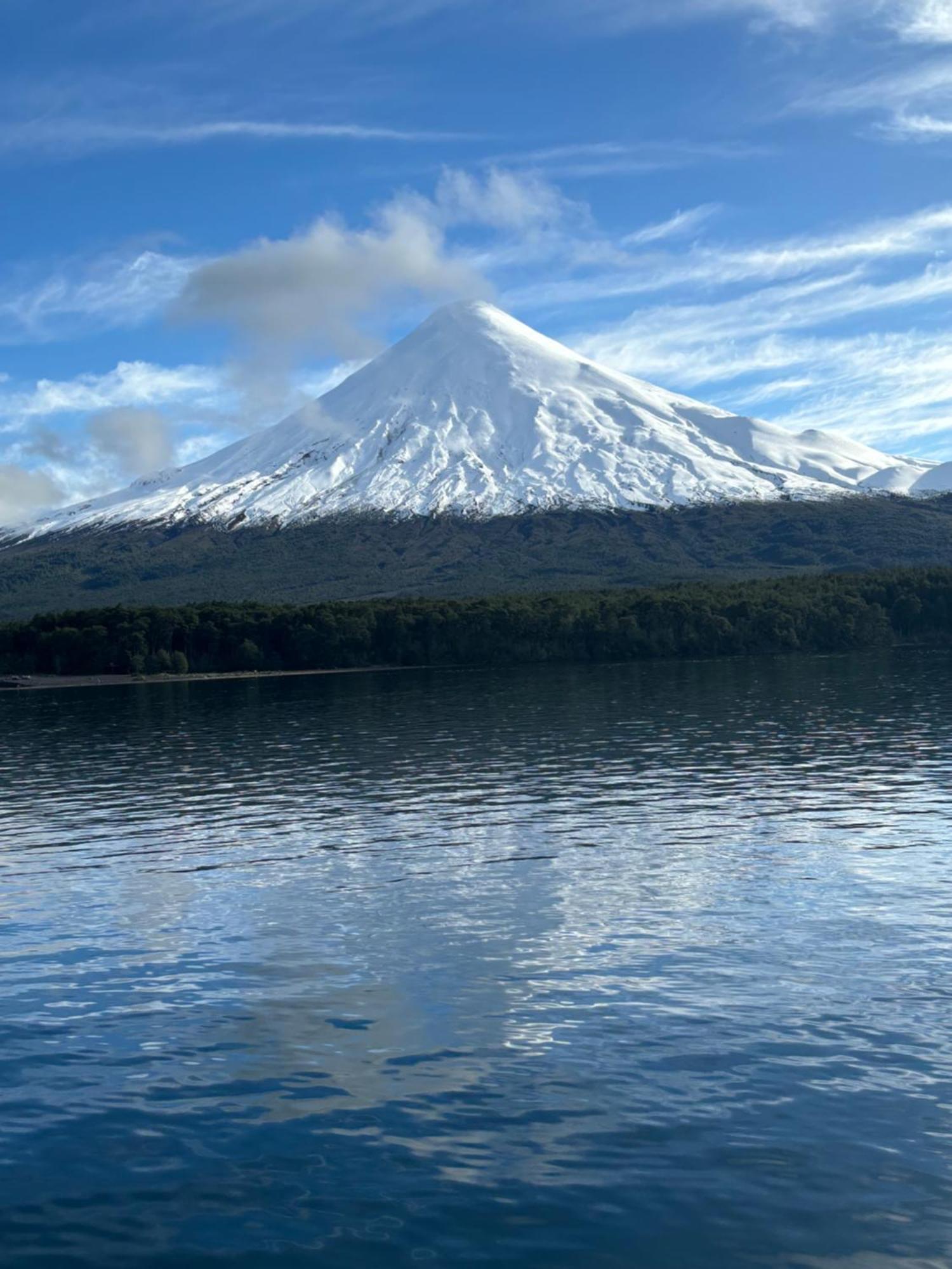 The Roses Daire Puerto Varas Dış mekan fotoğraf
